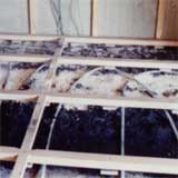 �n��1�K����(C)NACD